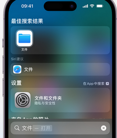 台江apple维修中心分享iPhone文件应用中存储和找到下载文件 