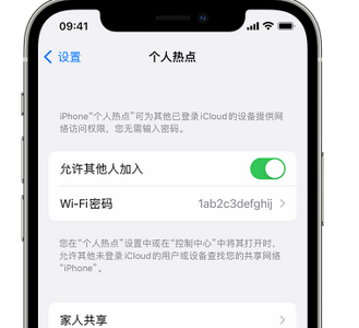 台江apple服务站点分享iPhone上个人热点丢失了怎么办