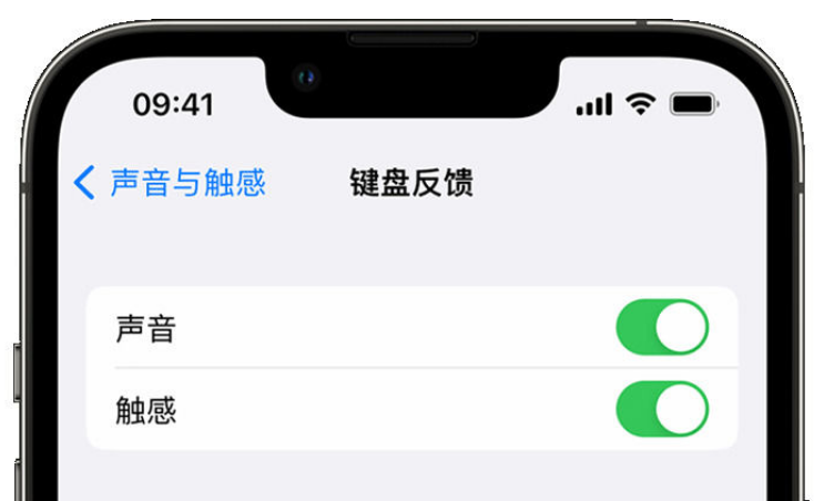 台江苹果手机维修分享iPhone 14触感键盘使用方法 