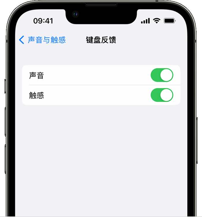 台江苹果14维修店分享如何在 iPhone 14 机型中使用触感键盘 