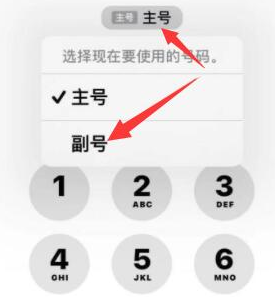 台江苹果14维修店分享iPhone 14 Pro Max使用副卡打电话的方法 