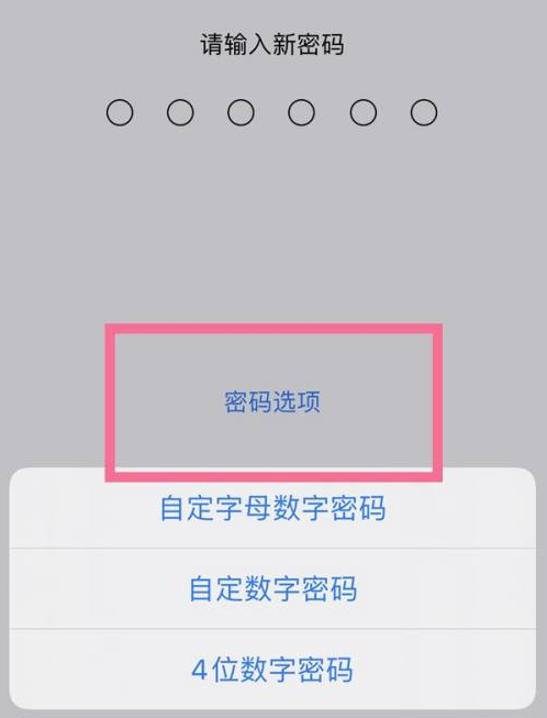 台江苹果14维修分享iPhone 14plus设置密码的方法 