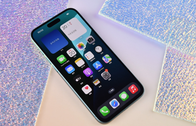 台江苹果手机维修分享为什么大家不喜欢苹果iPhone 16 Plus 