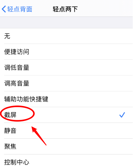台江苹果手机维修分享iPhone12如何启用双击截屏 